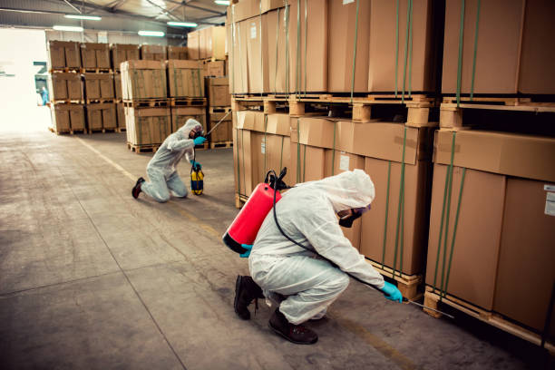 Best Affordable Pest Control Services  in Brentwood, MD
