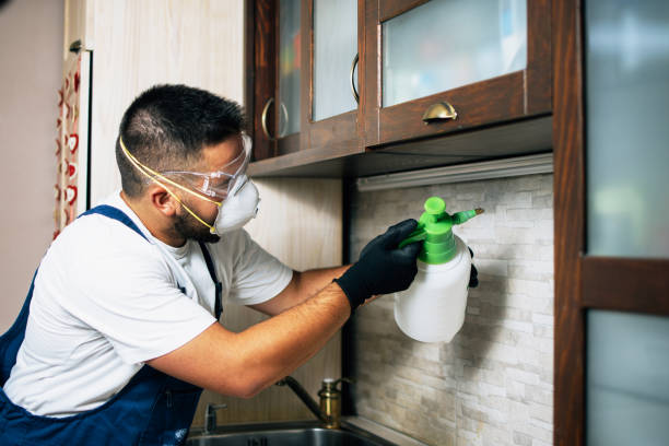 Best Best Pest Control Companies  in Brentwood, MD