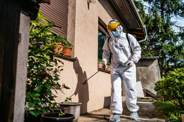 Best Residential Pest Control  in Brentwood, MD