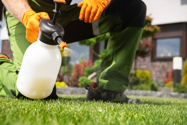 Best Pest Control Near Me  in Brentwood, MD