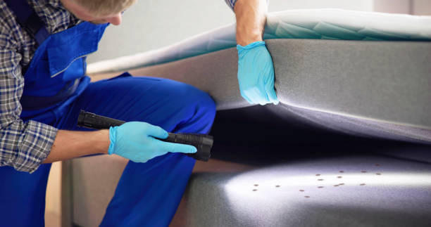 Best Pest Control Near Me  in Brentwood, MD