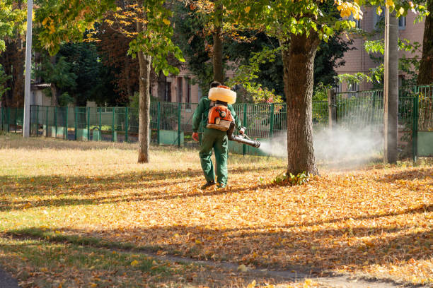 Best Local Pest Control Services  in Brentwood, MD