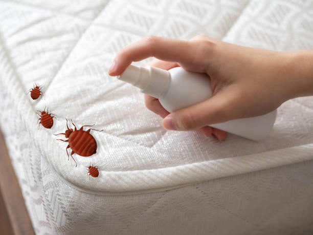 Best Commercial Pest Control Services  in Brentwood, MD