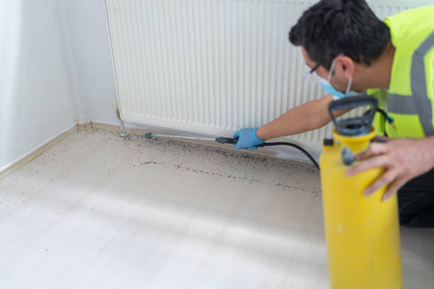 Trusted Brentwood, MD Pest Control Experts